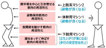 パワーリハビリテーション